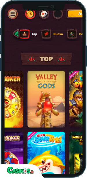 5 Gringos Casino app mobile