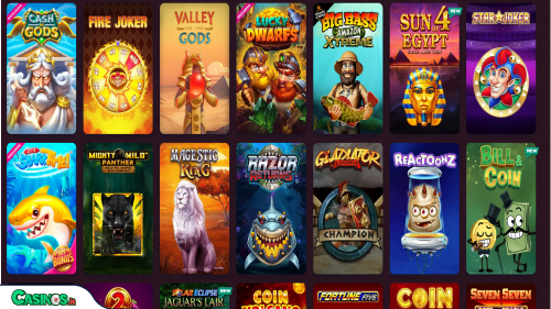 5 Gringos Casino slot