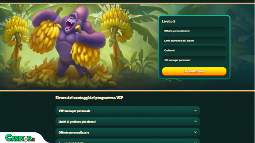 GoKong Casino vip