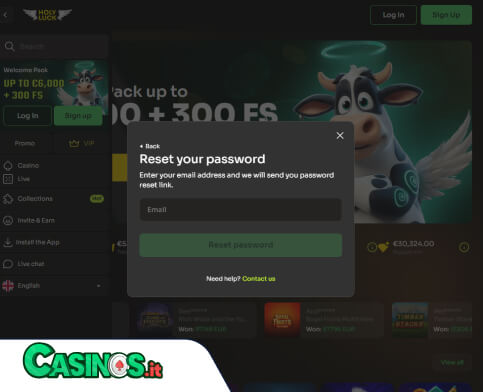 HolyLuck Casino problema di accesso