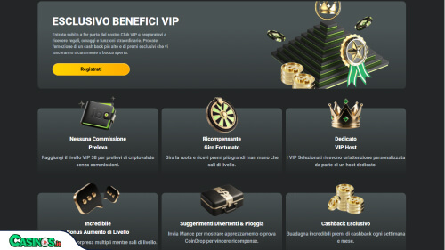 JB Casino vip