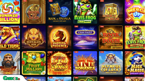 LamaBet Casino slot
