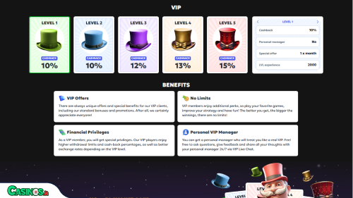 MegaRich Casino vip