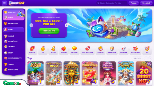 RoboCat Casino breve recensione