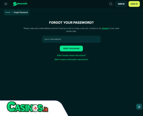 Spinaconda Casino problema di accesso