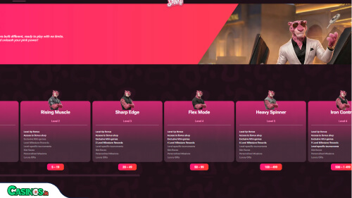 Spinko Casino vip