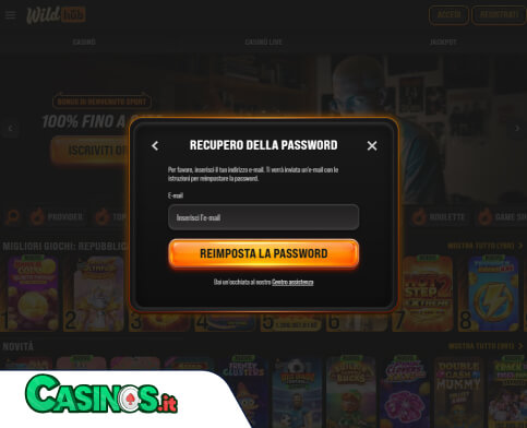 WildHub Casino problema di accesso