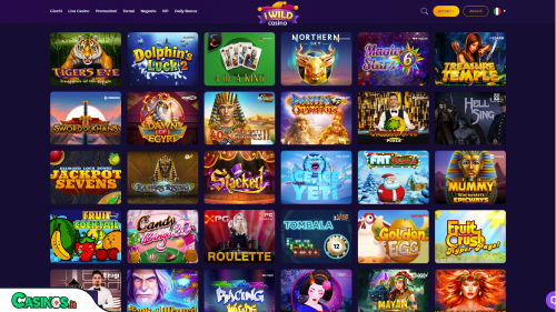 iWild Casino slot